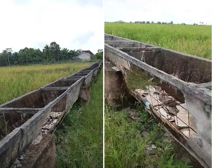 Polemik Irigasi Mesuji Memanas: Warga Tantang BBWS Cek Lapangan, Bantahan Pejabat Dipertanyakan